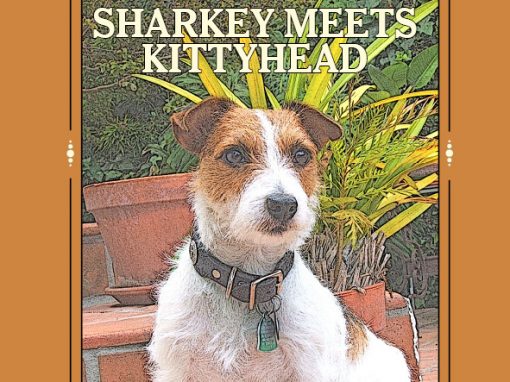 Sharkey Meets Kittyhead by Susan R. Stoltz